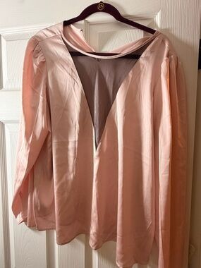 Express Women's Blush Pink V-Neck Long Sleeve Top